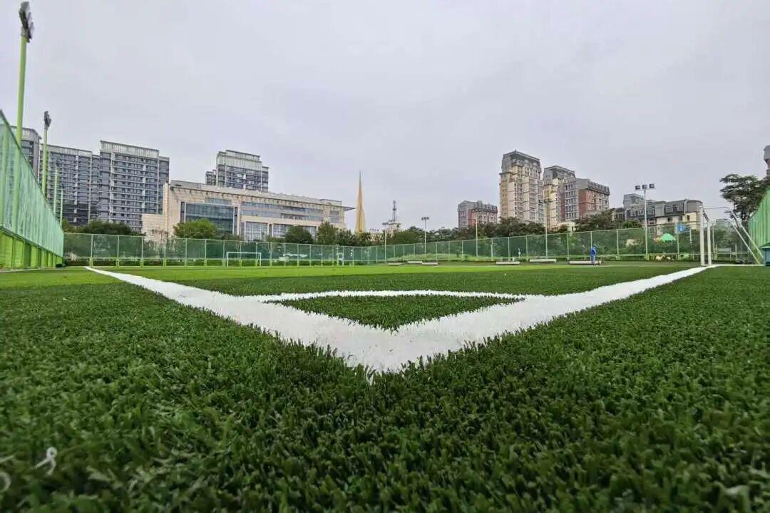 泰达这一足球场升级!即将对外开放!